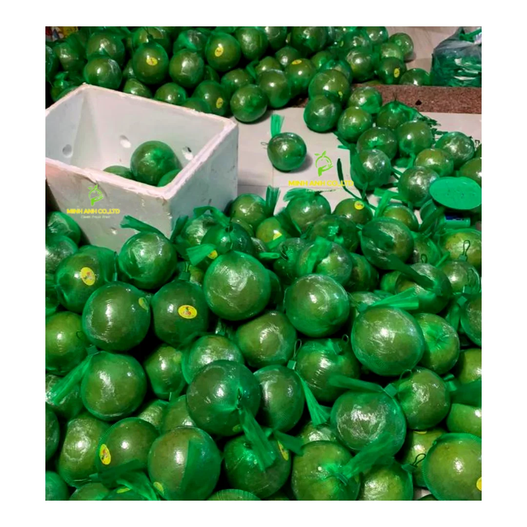 Fresh Green Grapes Turkey Key Sweet Crop Style Storage Cool Packing Mature Newest Color Origin Super Type Comfort Variety Size