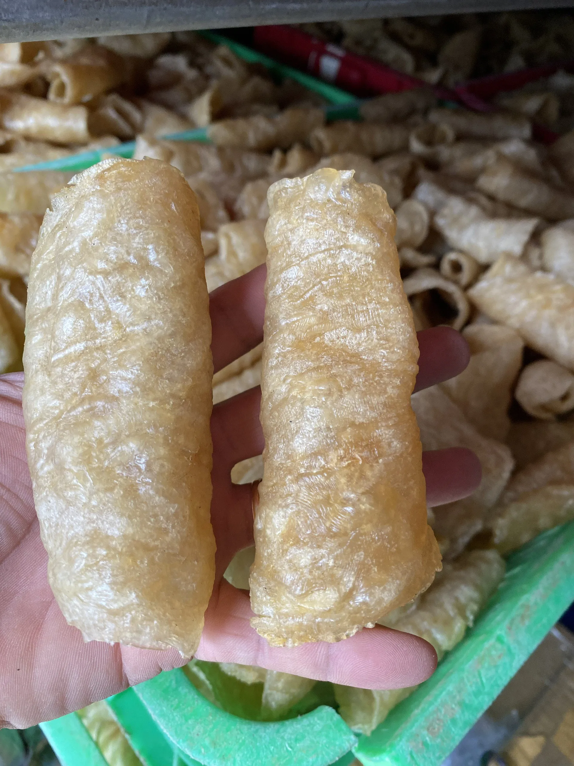 FISH MAW SUN DRY FISH MAW NATURAL PREMIUM QUALITY FISH MAW FROM VIETNAM