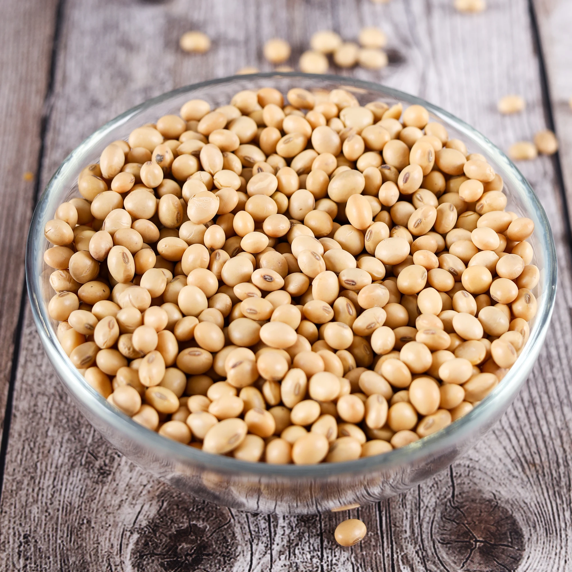 Good Quality Soyabean / Soybeans Seeds / Soybean Ready For Export