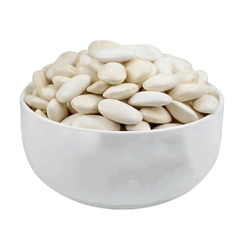 White Kidney Beans Long shape Big White Kidney Beans