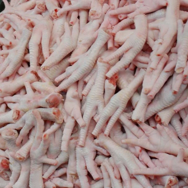Halal Frozen Chicken Feet/Paw Exporters