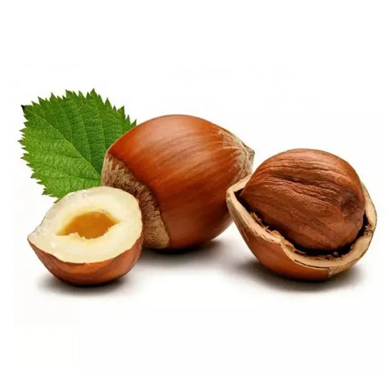 Top Quality Raw Dried /Hazel Nuts Hazelnuts At Wholesale Raw Hazelnut / Organic Grade Hazelnut/Hazel Nuts