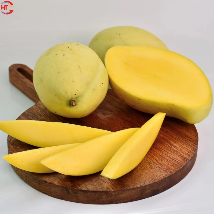 Good Quality Export Vietnam Manufactured Fresh Fruit Organic Cultivation Ripe Maturity Slightly Sweet Taste Keo Mango