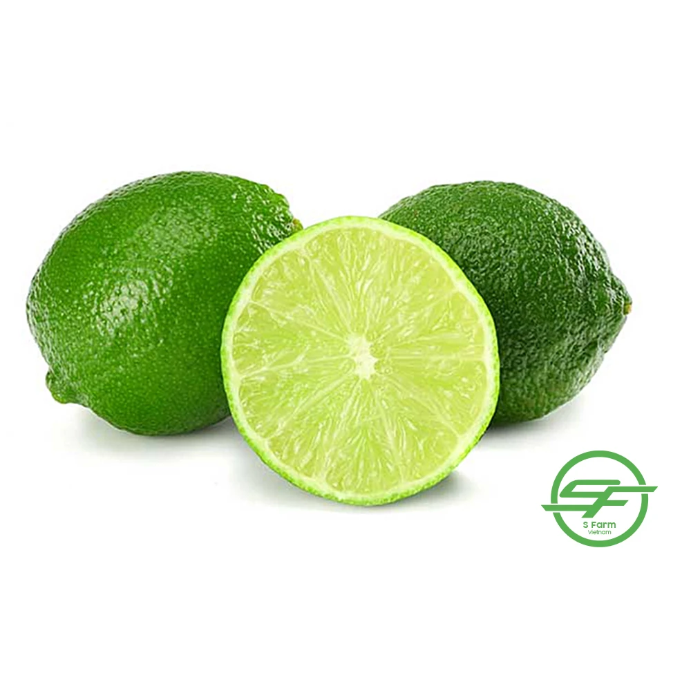 Fresh Lime / Lemon Seedless / lime Seedless for export in bulk