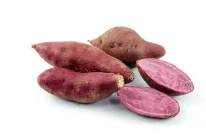 ( Hot Selling ) Fresh clean potato - Potato fresh  with Best price and high quality/ LC-TT payment