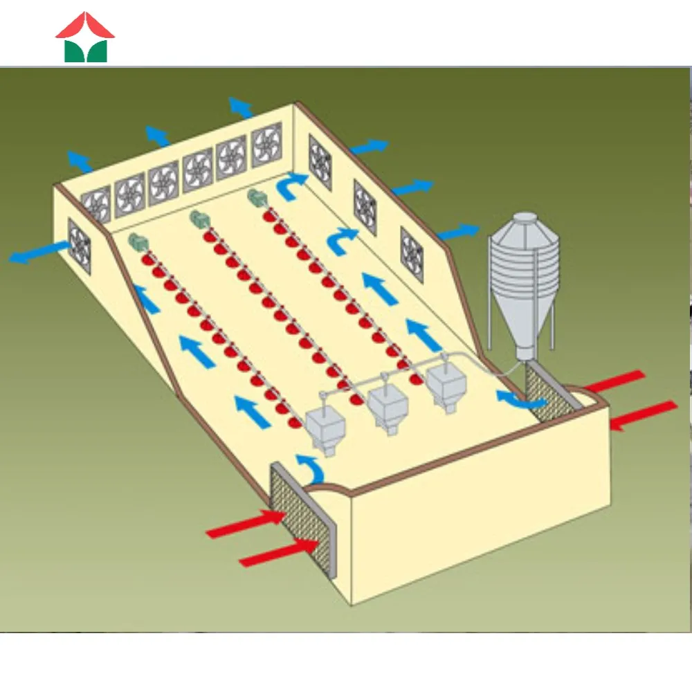 chicken farm equipment chicken house