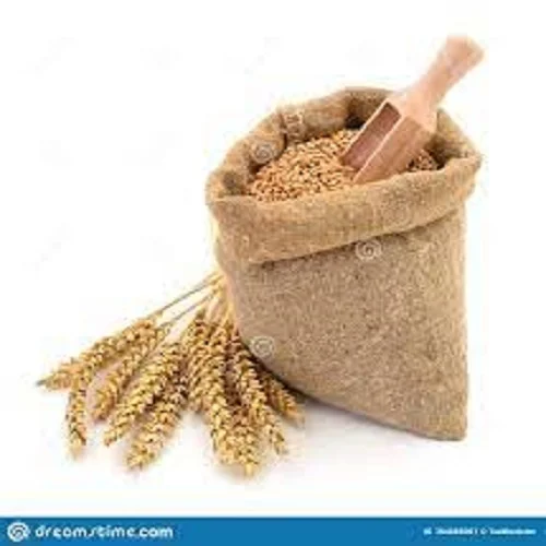 PREMIUM QUALITY whole grain wheat for sale wheat grain