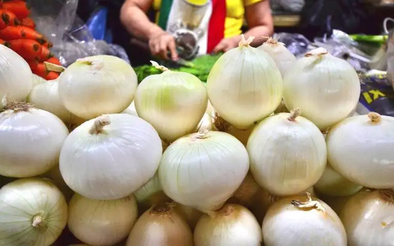 Fresh Onion Onions Fresh Packaging New Crop Mexico Harvester Wholesale Onion Cebolla Blanca High Quality