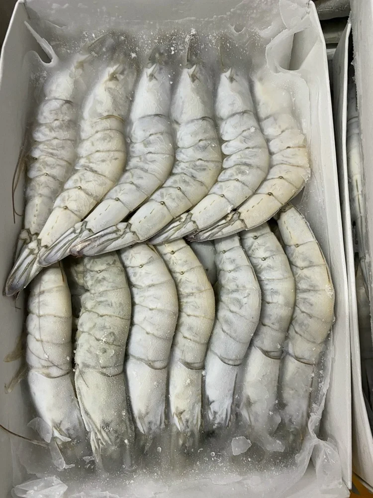 Vietnam Shrimp HOSO Black Tiger Shrimp SEMI IQF Frozen Fresh Head On Shell On Custom Packing High quality