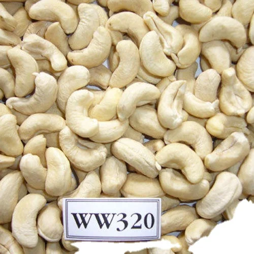 KING COFFEE - Best Vietnam Cashew Nut Kernels WW320 - 100% Raw Cashew Nuts Good Packaging High Dried Grade Price Newest Crop