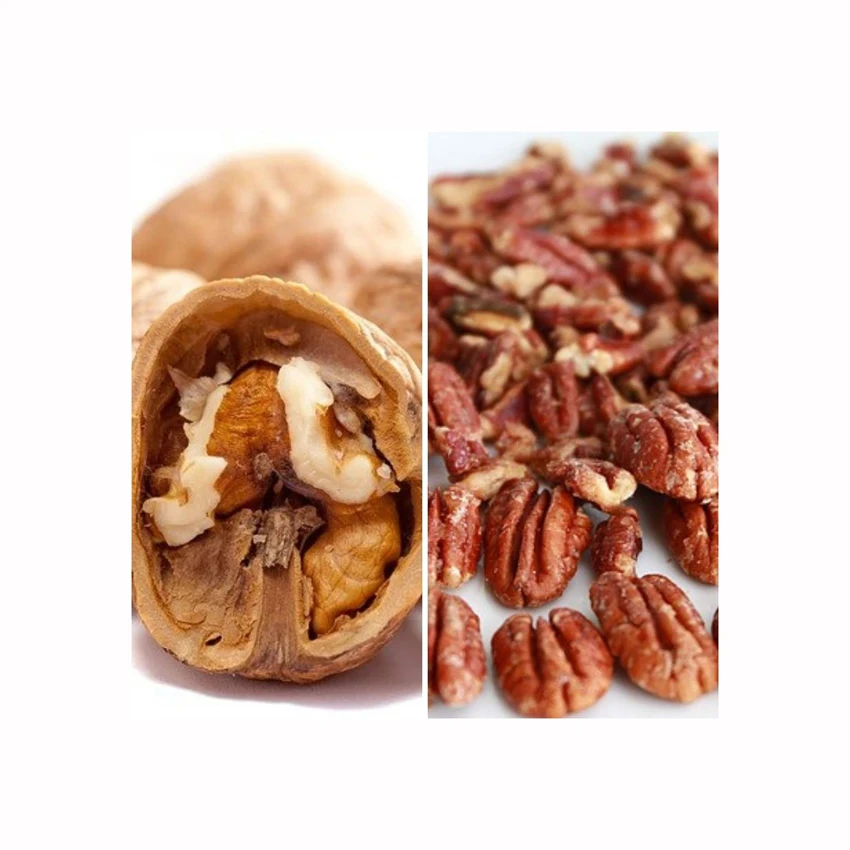 Walnuts Best Seller Manufacturer Wholesale Premium Organic Walnuts in shell Turkey walnut kernel for sale
