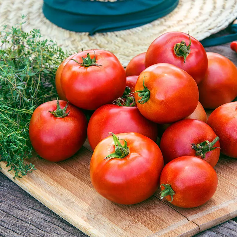 good tomato crimson cocktail for sale