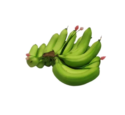 Best Sale Hot Supplier Wholesaler From Vietnam Grade B789 Cavendish Banana Cheap Price Low MOQ Fresh Fruit Healthy Nutrition