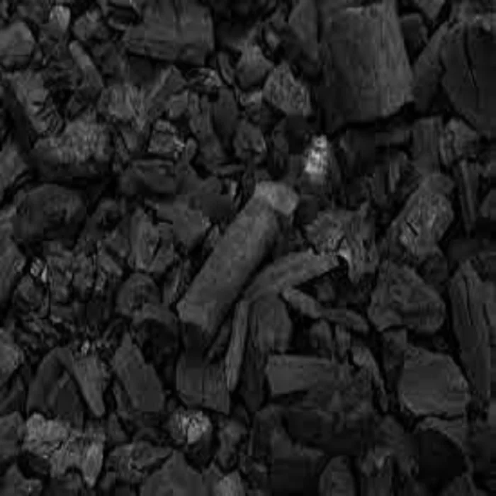 Charcoal - 100% Best Quality/High quality Charcoal and charcoal for sale