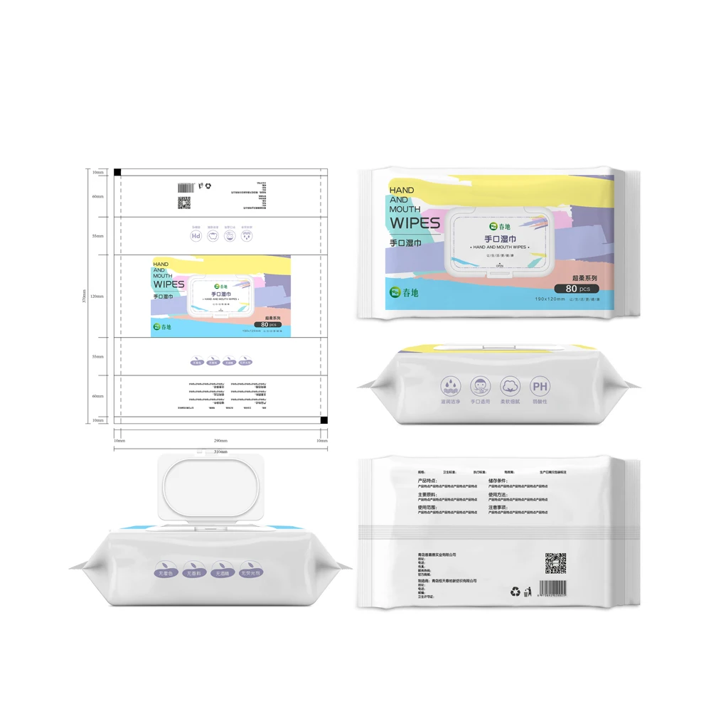 Custom Unscented Hypoallergenic Wipes Flip Top Packs Cleansing Dirt from Delicate Skin 120Pcs 80Pcs Baby Wet Wipes