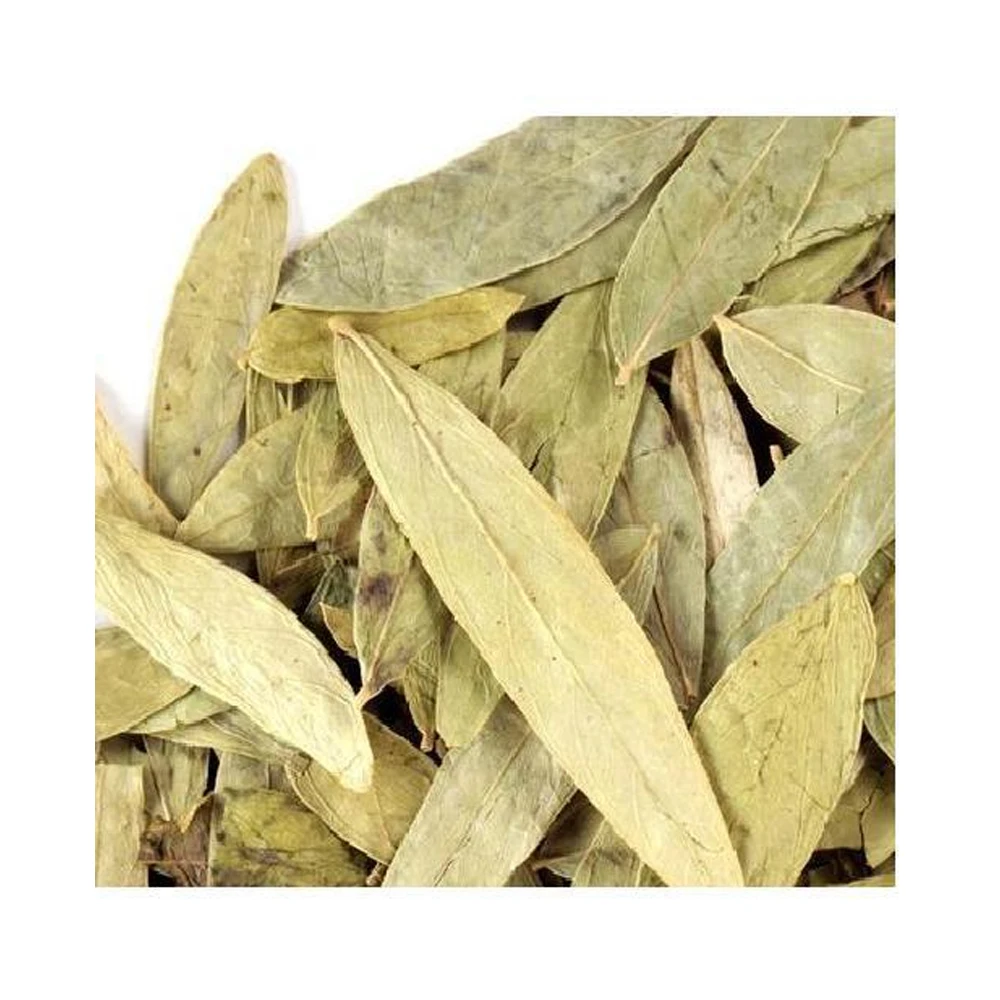 Best Quality Senna Leaves  Buy At Lowest Price