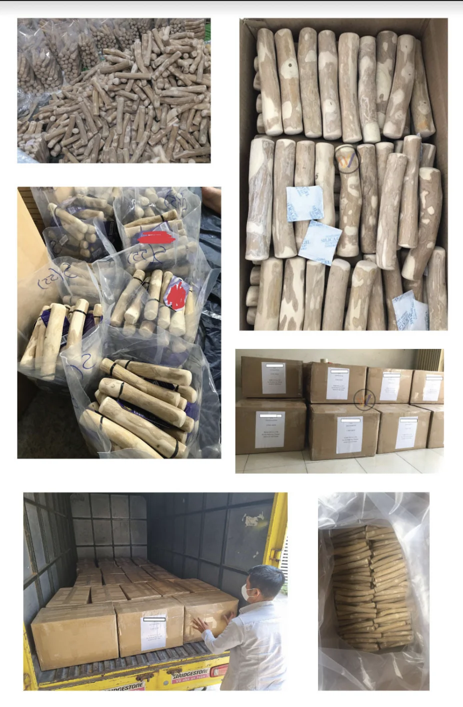 Dogs Chew toy for Puppy and Adult Dogs Trendy products on Amazon 2022