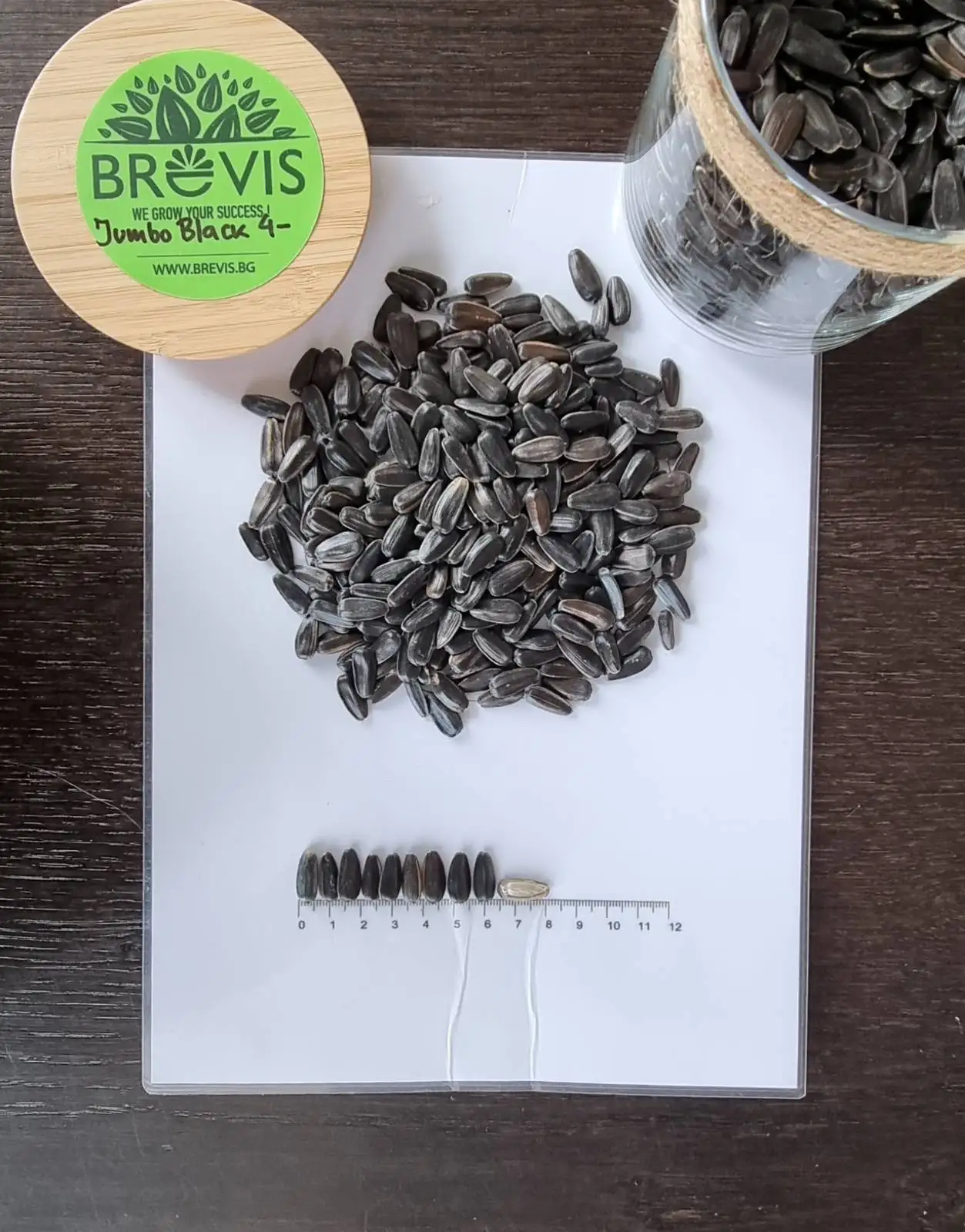 Black  sunflower seeds Nut & Kernels Snacks Roasted sunflower seeds cheap price Wholesale Packaging Private Label