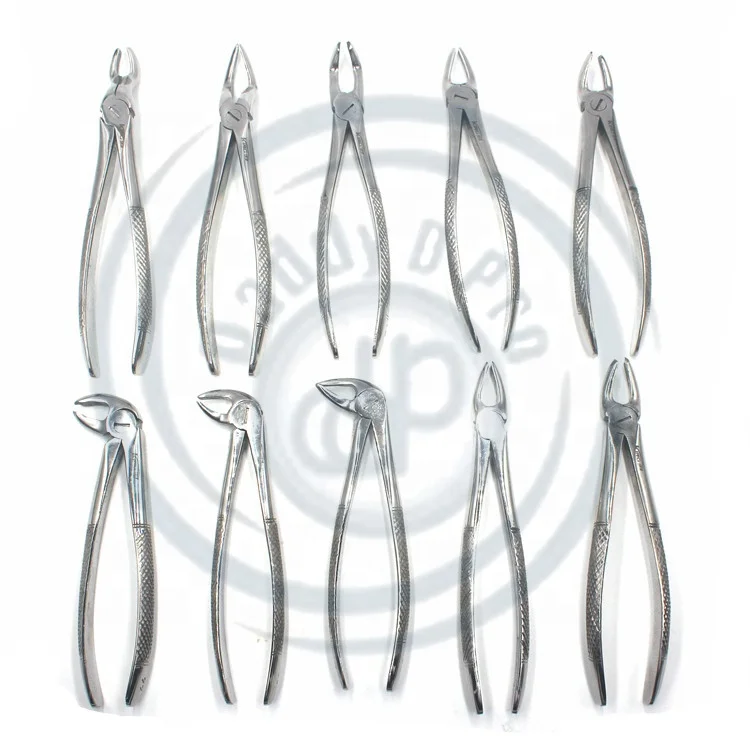 Pliers Laboratory Dental Extracting Forceps Set of 10pcs Stainless Steel Dental Instruments Dental Pliers for Dentist with Tool