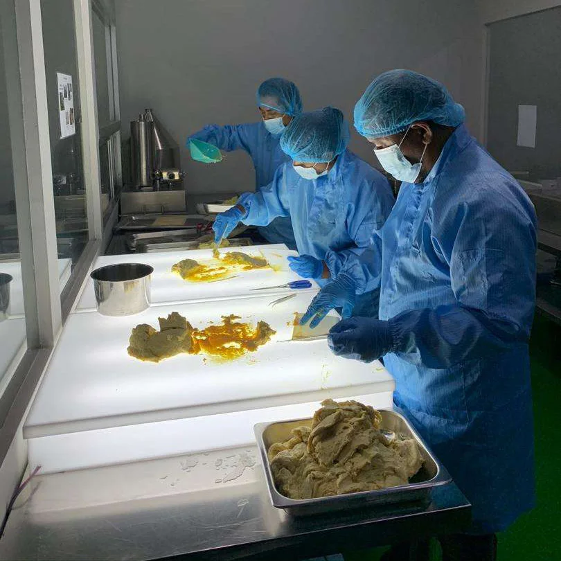 Best Pricing Export Premium Quality Fruit Frozen Durian Pulp D24 Durian Pulp (Pasta)