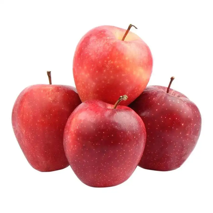 manufacturer price top quality fresh royal fruit gala apple
