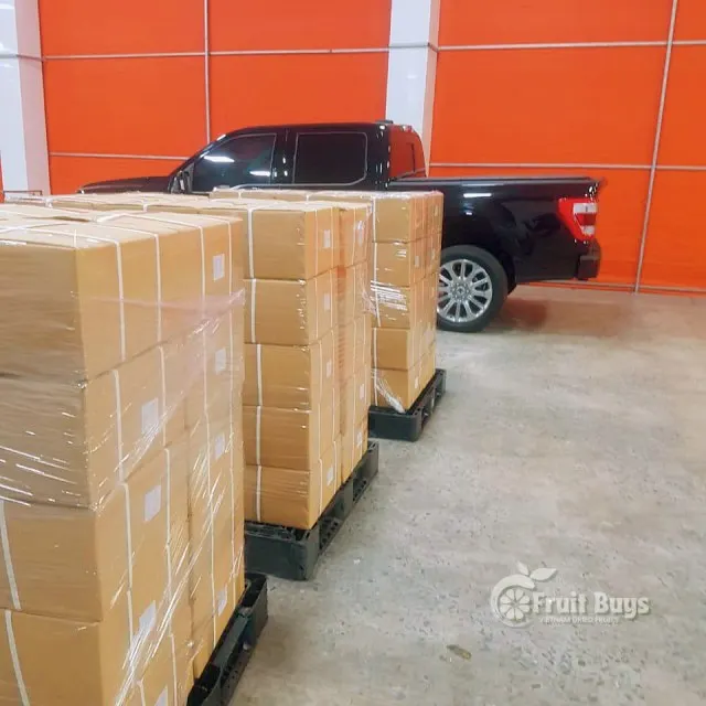 Top Dried Fruits Amazon 100% Fresh Jackfruit Vietnam Tropical Dried Jackfruit NO Sugar package 1 5 10 20 Kg