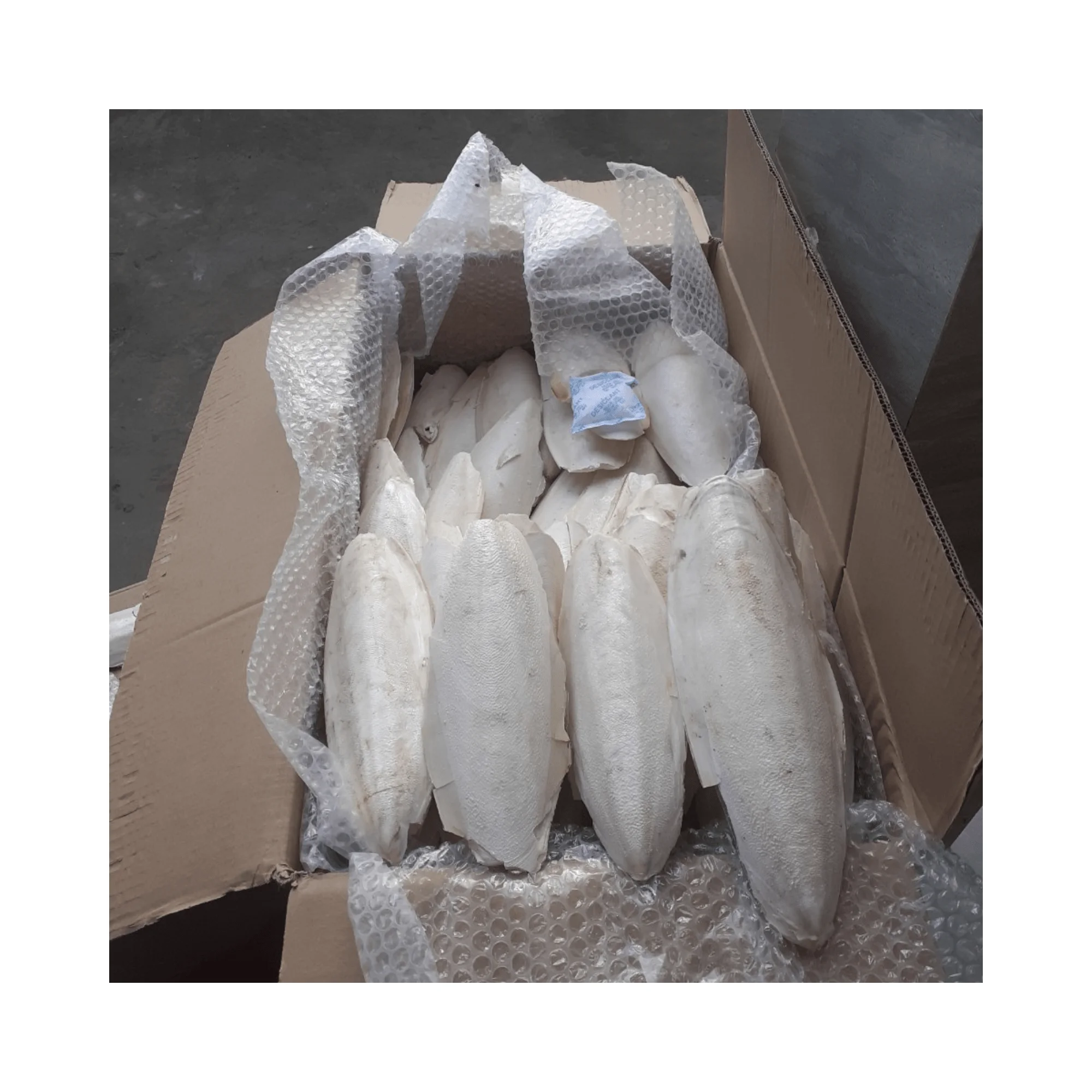 High Quality And Best Price Cuttlebone 100% Natural Dried Cuttlefish Bone From Vietnam Supply Calcium From Vietnam