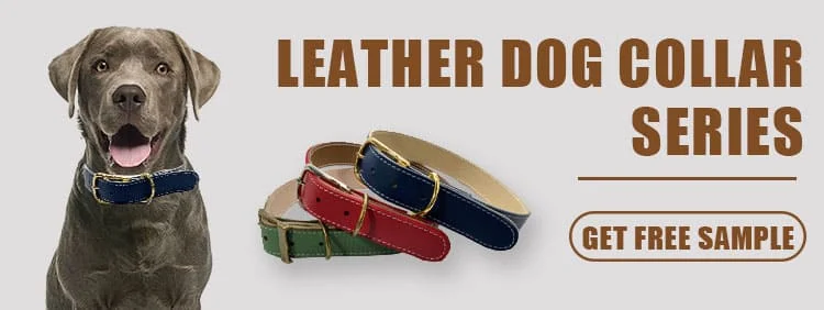 Dog Collar T17 N3L00