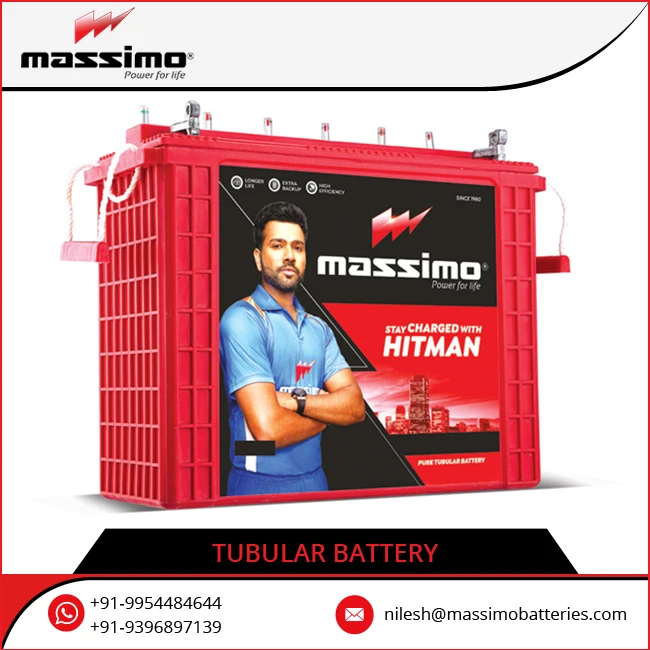 Indian Vendor Selling Long Life Cycle Inverter Usage Top Notch Quality 110AH Nominal Capacity Tall Tubular Battery