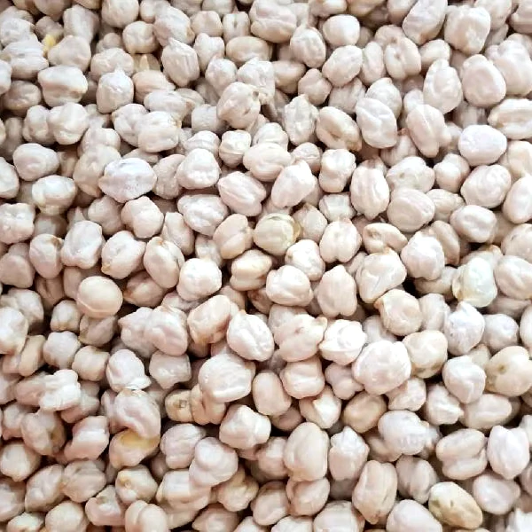 High Quality Whole cotton seed Feeding grade whole cotton seed non gmo whole cotton seed