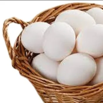 Broiler chicken eggs