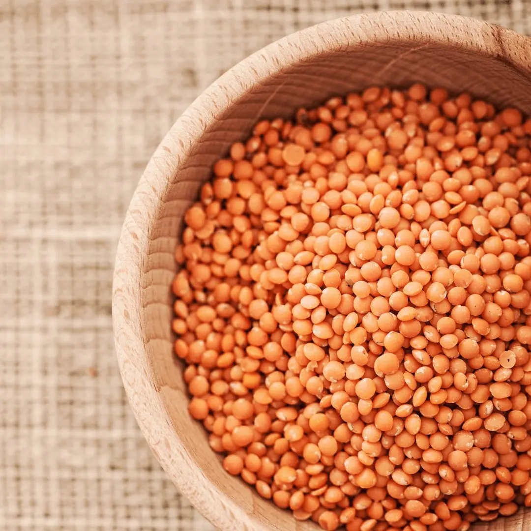 Green Lentils Grade Top Quality Green Lentils In Bulk Lentils Manufacturers Canada