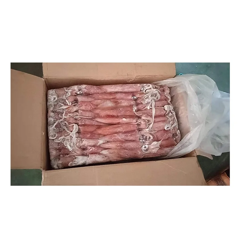 Замороженные кальмары Loligo BQF