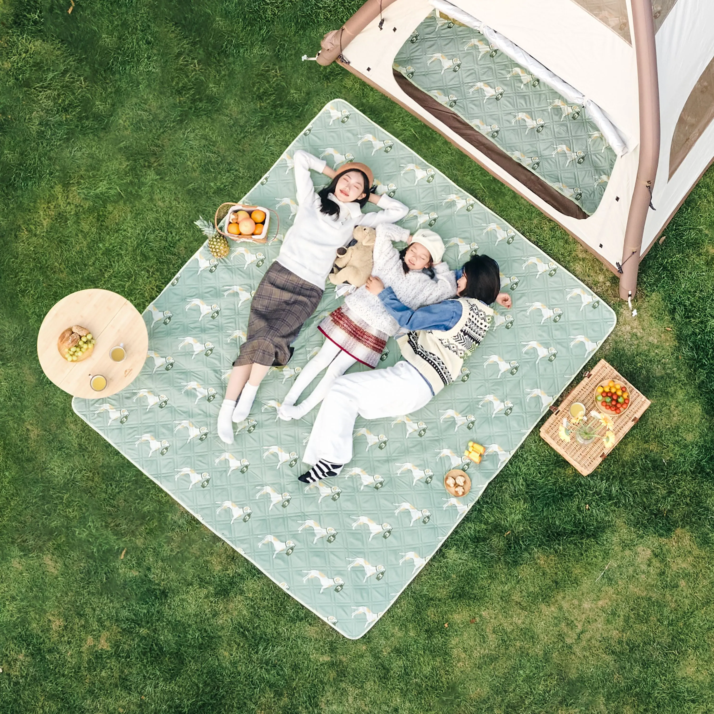 Naturehike camping picnic travel lovely cute animal Printed waterproof picnic mat Picnic Blanket