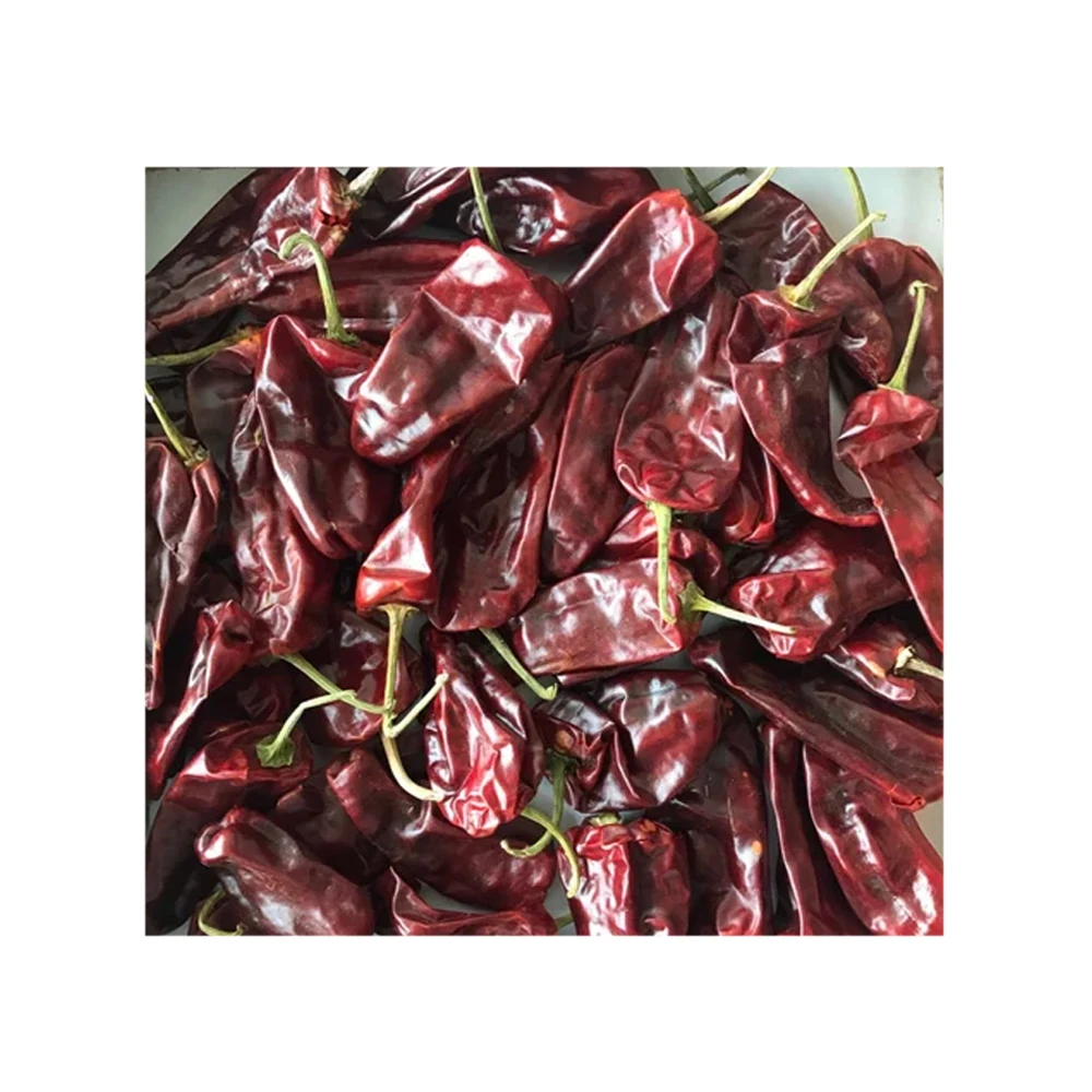 Most Selling Natural Spicy Red Chili Peppers Single Spices & Herbs Dried Tomato Chilli Available At Affordable Price