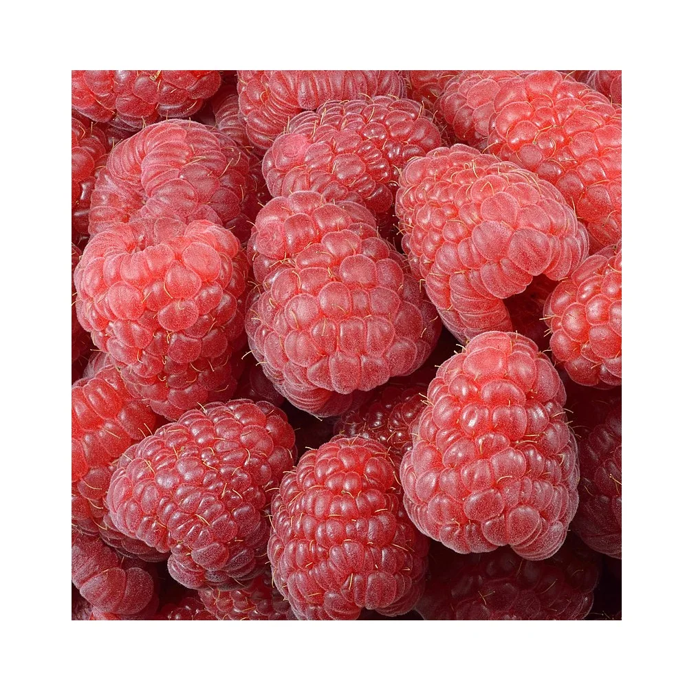 Hot Sale Bulk Price Pure Fresh Frozen Fruit Raspberry Iqf