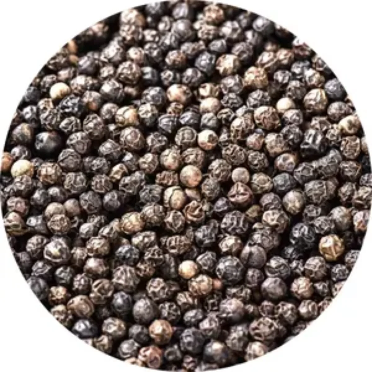 Whole Black Pepper Wholesale Bulk Dried Spice Black Pepper For Sale