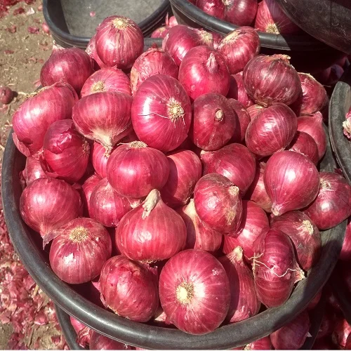 Качественный свежий красный