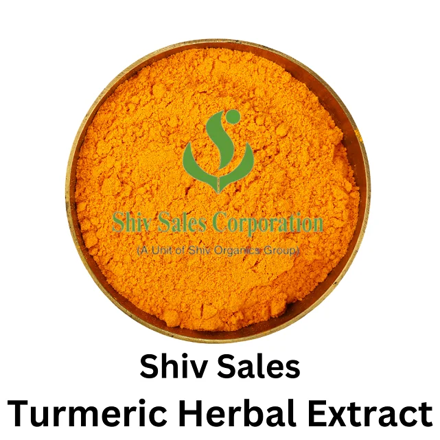Turmeric Extract Curcuma Longa Extract Powder Best Price Supplement Turmeric Root Extract 95% Curcumin Powder Available for Sale