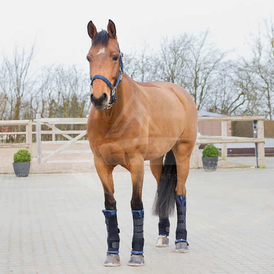 Hot Selling Best Design Horse Travelling Boots Made With Polyester Material And Mesh Chaps For Sale