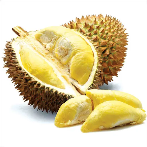 For Sale Frozen Durian From Viet Nam 100% Natural Fresh High Quality Best Price For Wholesale