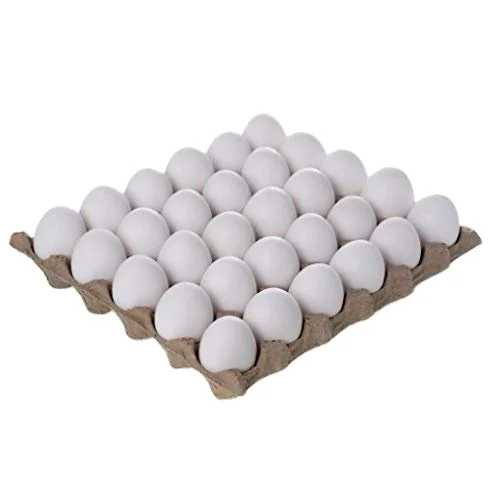 Brown/White Fresh Table Chicken Eggs, Chicken eggs in bulk