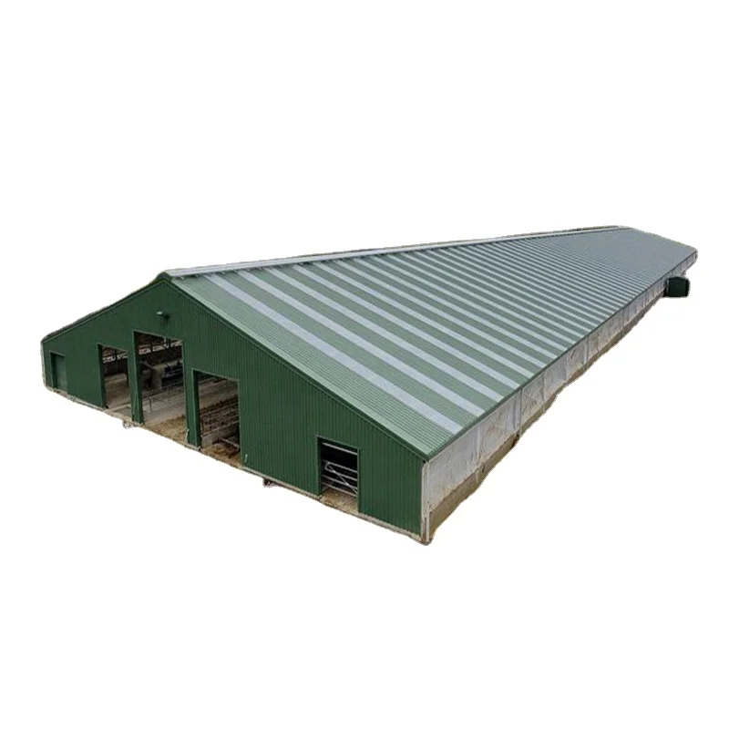 Горячая Распродажа китайская стальная птицеферма с дизайном