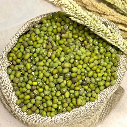 Green Mung Beans/ Green Mung Bean Latest Crop Supply