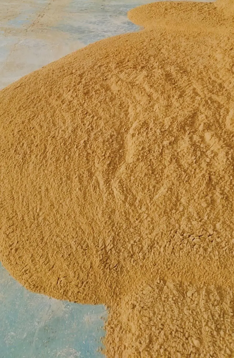 corn gluten meal 3.jpg