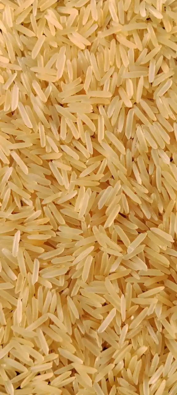 Direct Factory Supply Long Grain Golden Sella Basmati Rice 1121 Basmati Rice for Making Biryani and Pulao use
