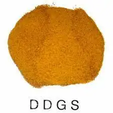 Yellow Corn DDGS with 12% Max Moisture and 50% Max Protein Animal Feed