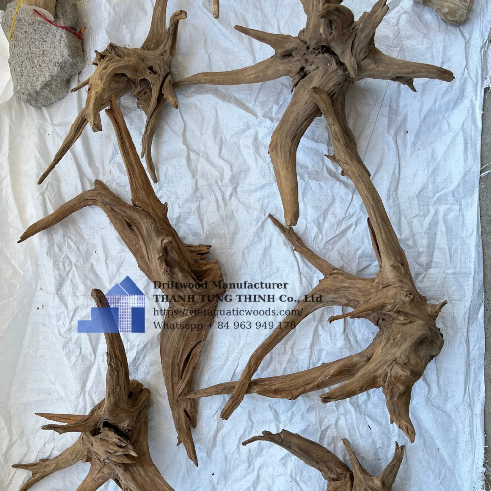 High quality Natural driftwood mangrove root and driftwood for aquarium decoration WhatsApp +84 963 949 178