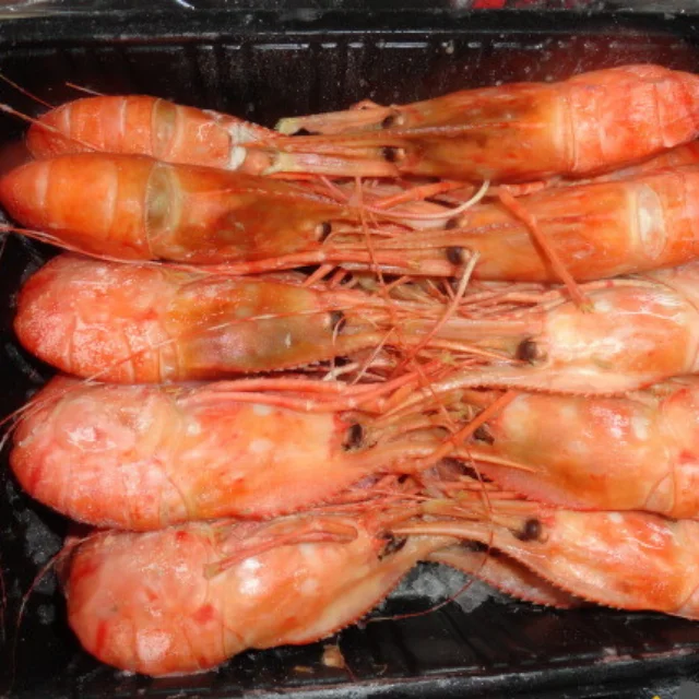 Dried Shrimp High Quality Seafood Made in Norway 100% Fresh Shrimp Top Selling