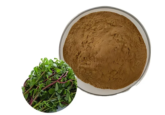 Китай оптовая цена косметика класс 50% Bacopasides Bacopa Monnieri порошок экстракта
